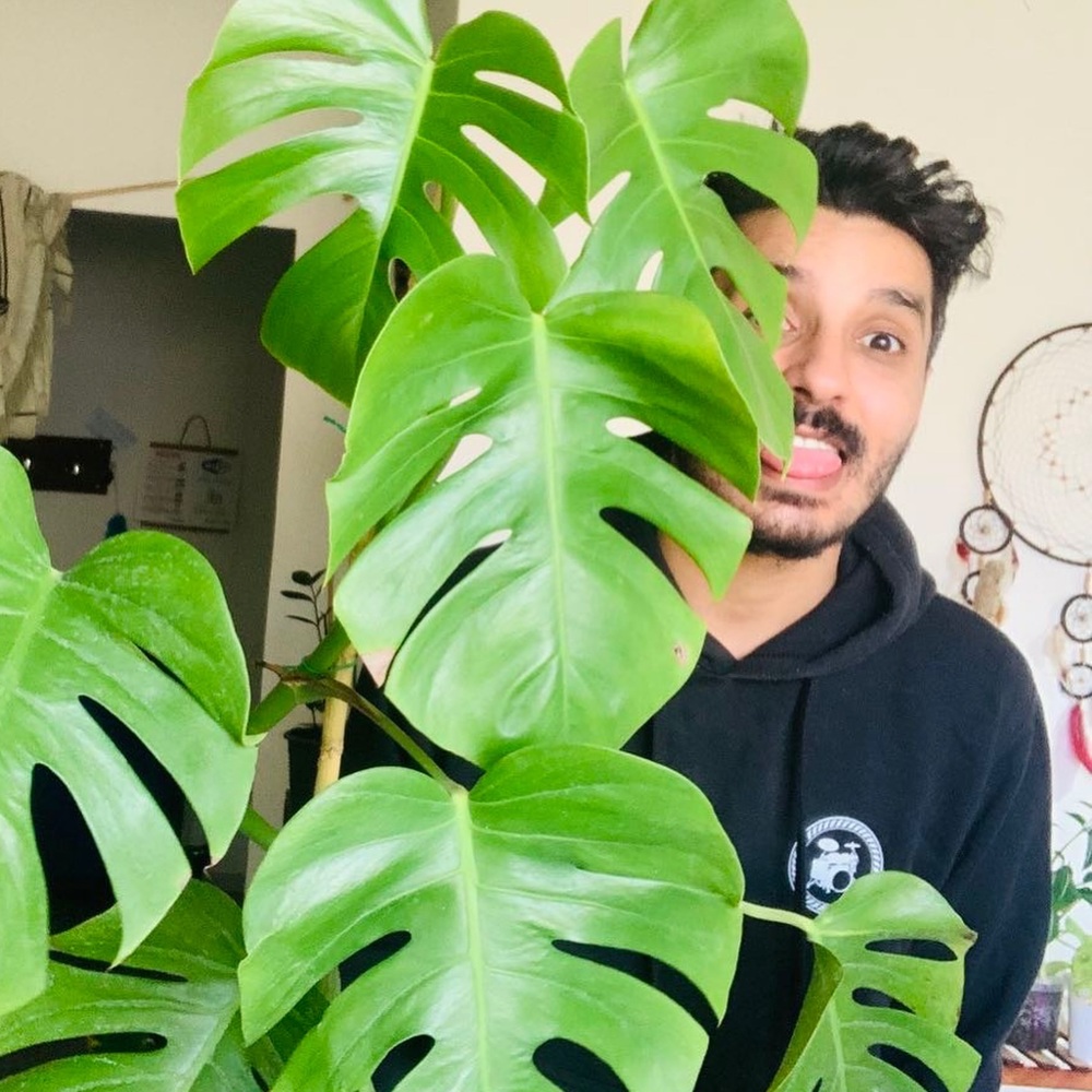 Men holding big leaves