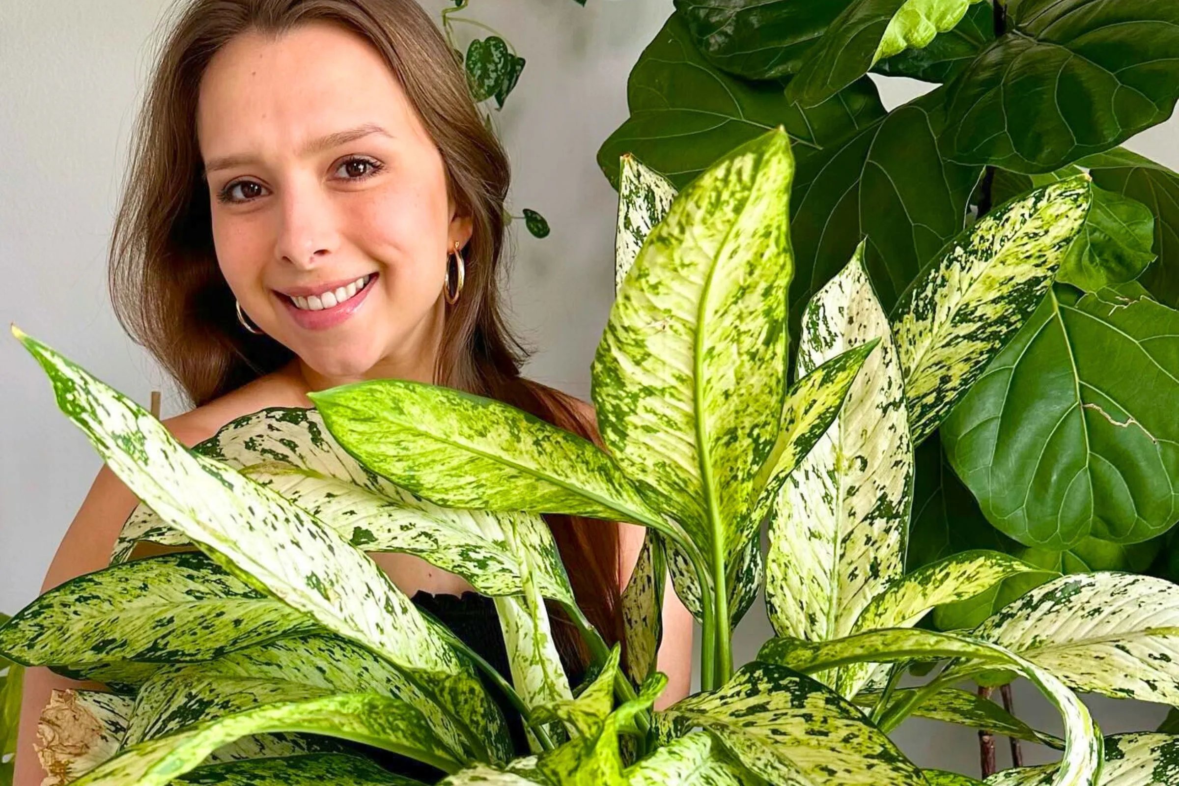 These Air-Purifying Plants Will Give Your Home a Fresh Breath of Air