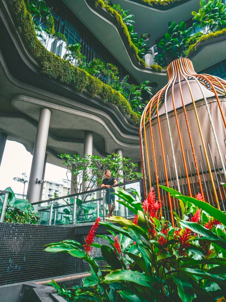 Greenery at Pickering Hotel in Singapore