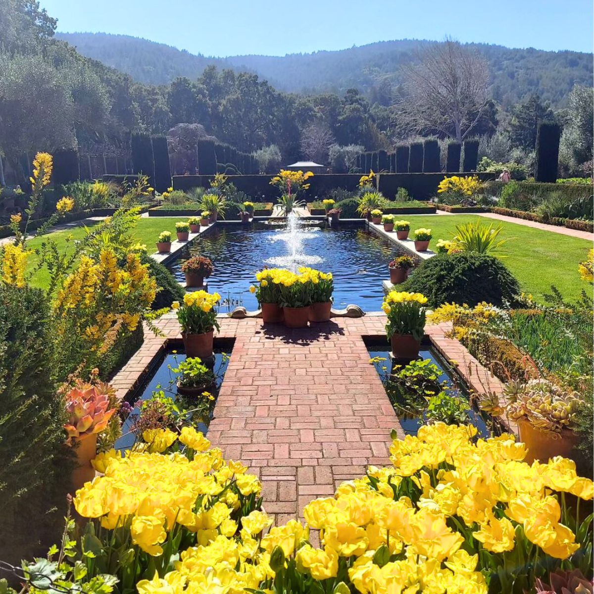 Filoli botanical gardens