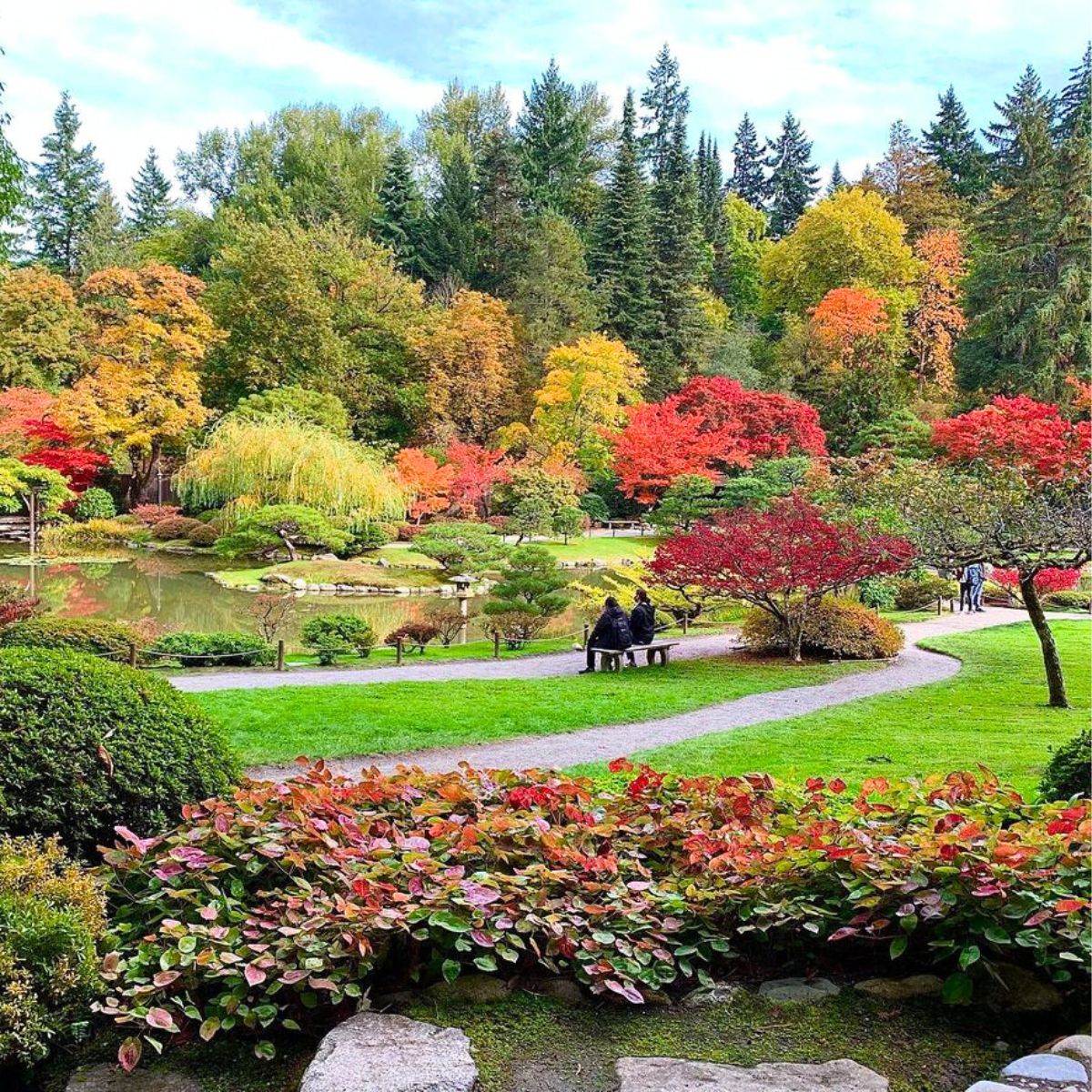 Washington Park Arboretum botanical garden