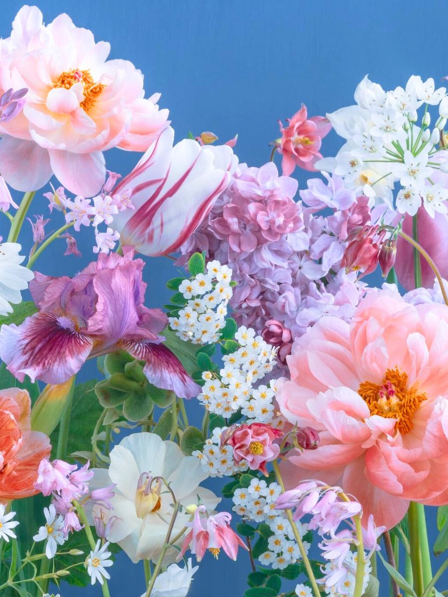 Pastel colored palette for flowers by Katrin Engler