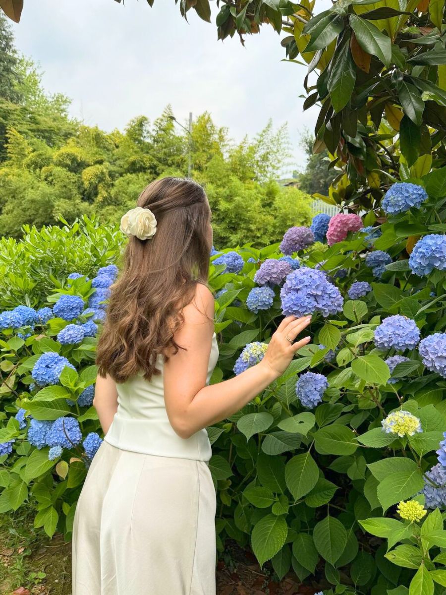 Girl looking at hydrangeas under shade