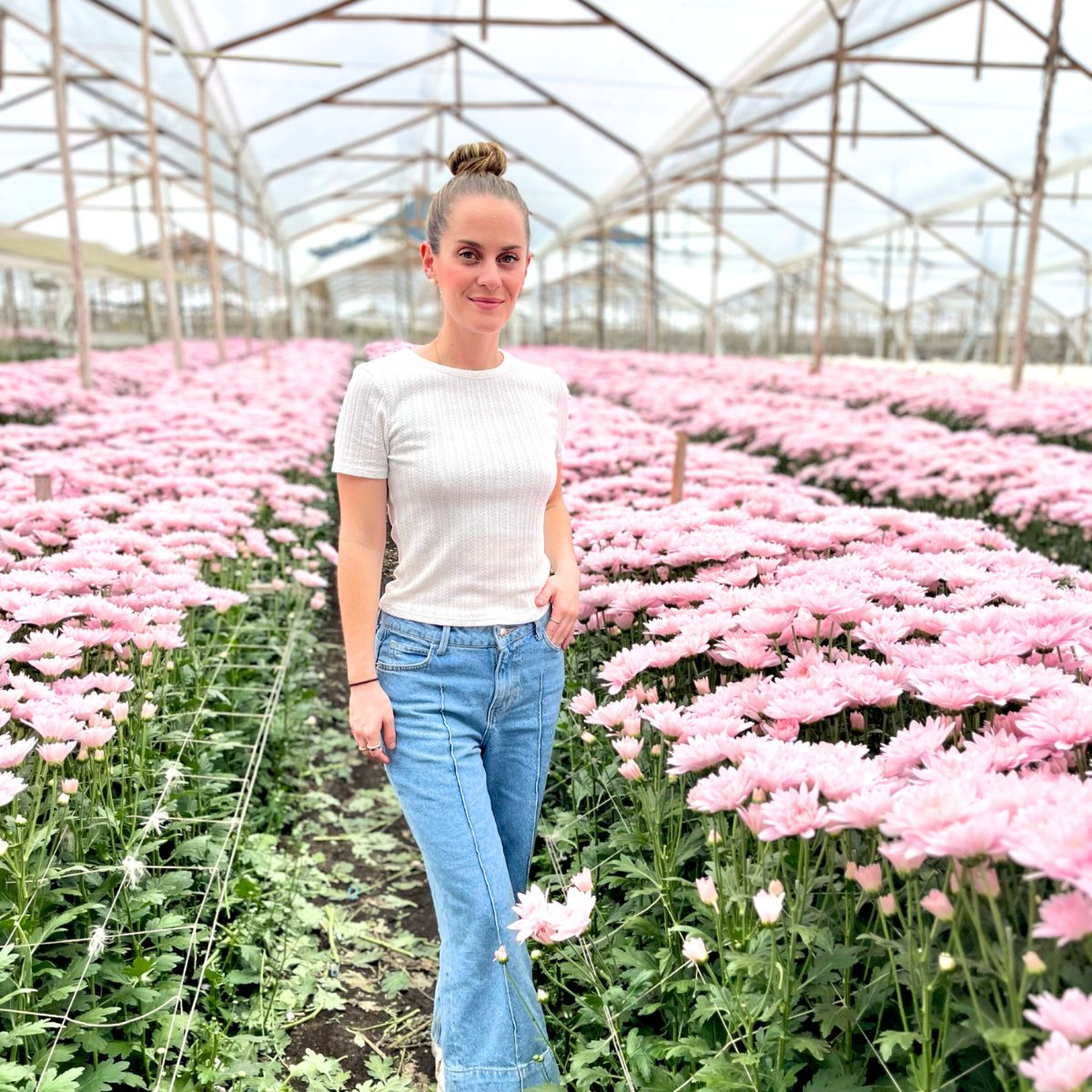 Melissa at Flores el Capiro with pink chrysanthemums