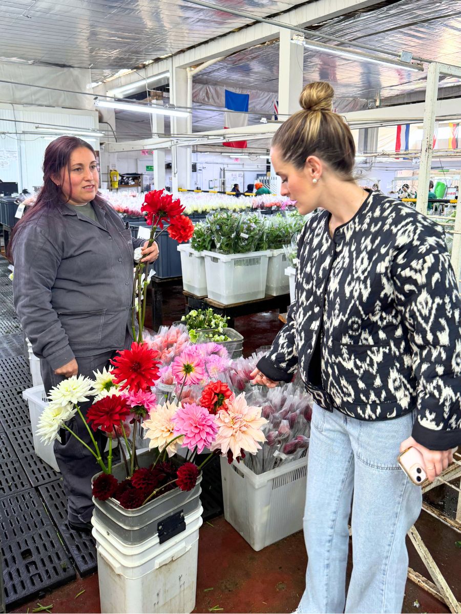 Packing process at Alexandra Farms