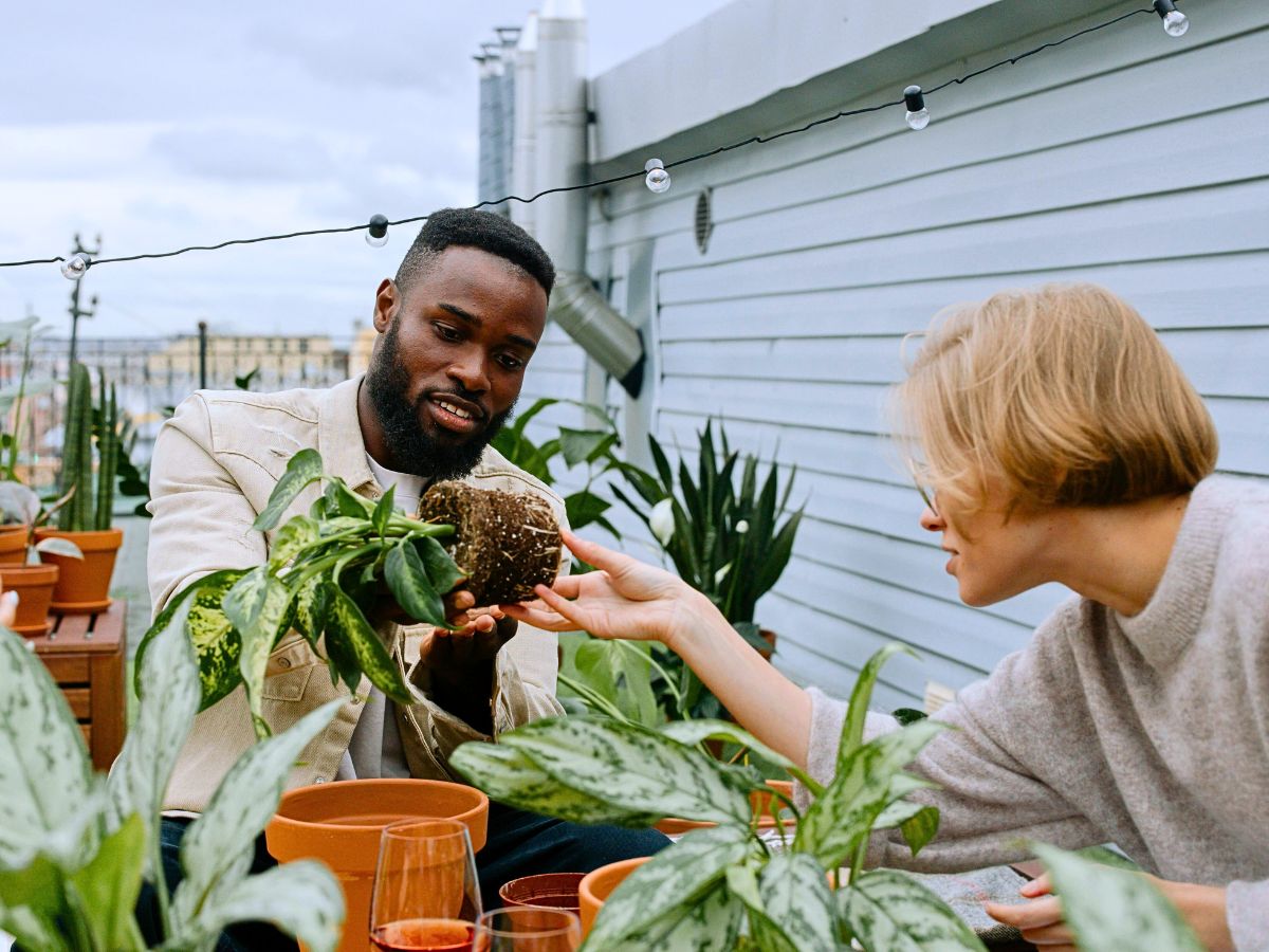 Science-Backed Health Benefits of Plants at Home