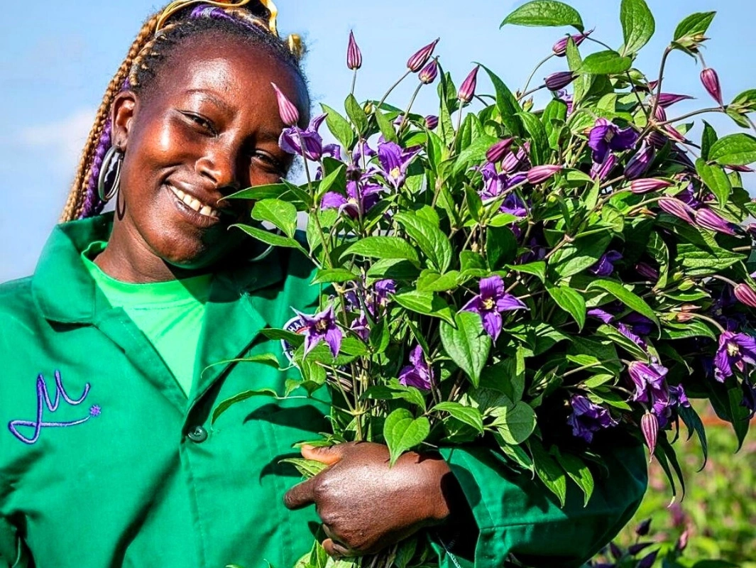 Kenya growers embracing summer flowers trends