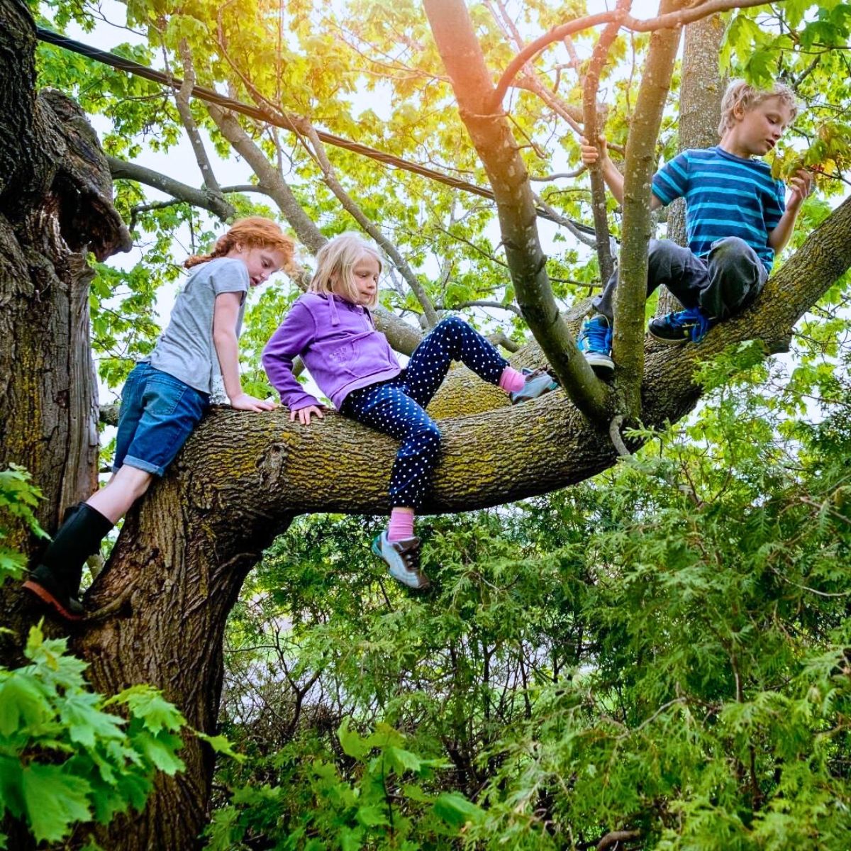 ​Why the Forest School Concept Matters