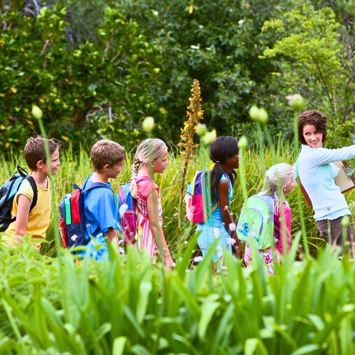 ​Why the Forest School Concept Matters