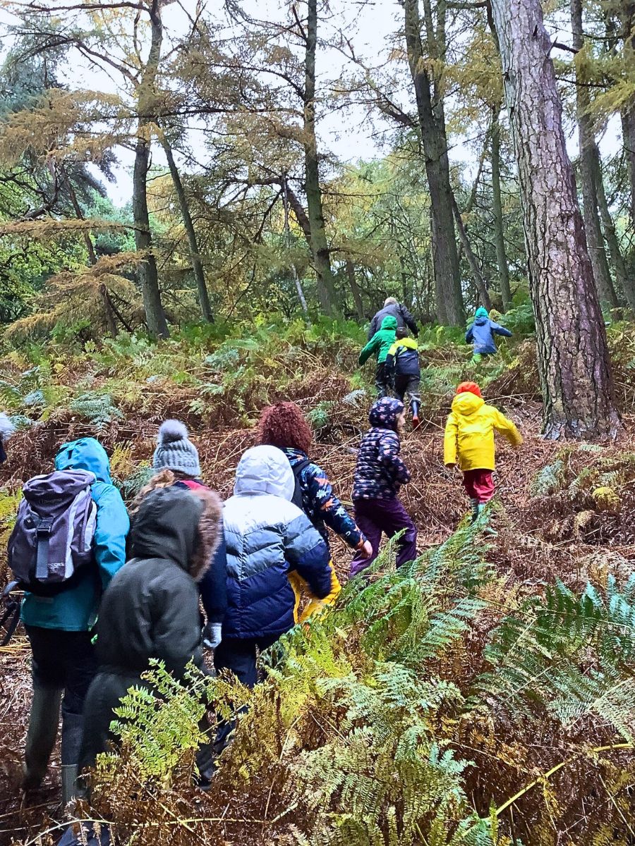 ​Why the Forest School Concept Matters