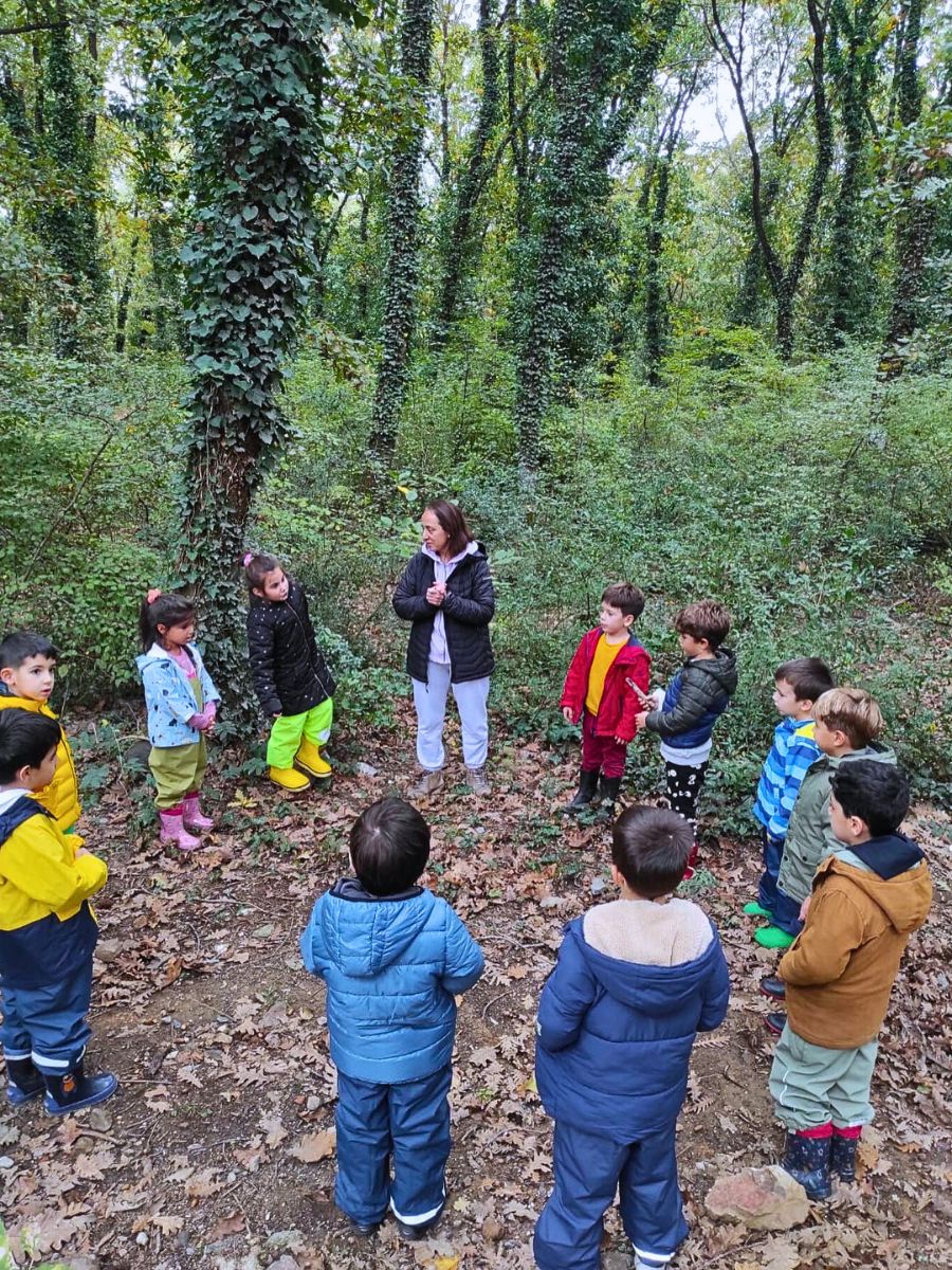 ​Why the Forest School Concept Matters