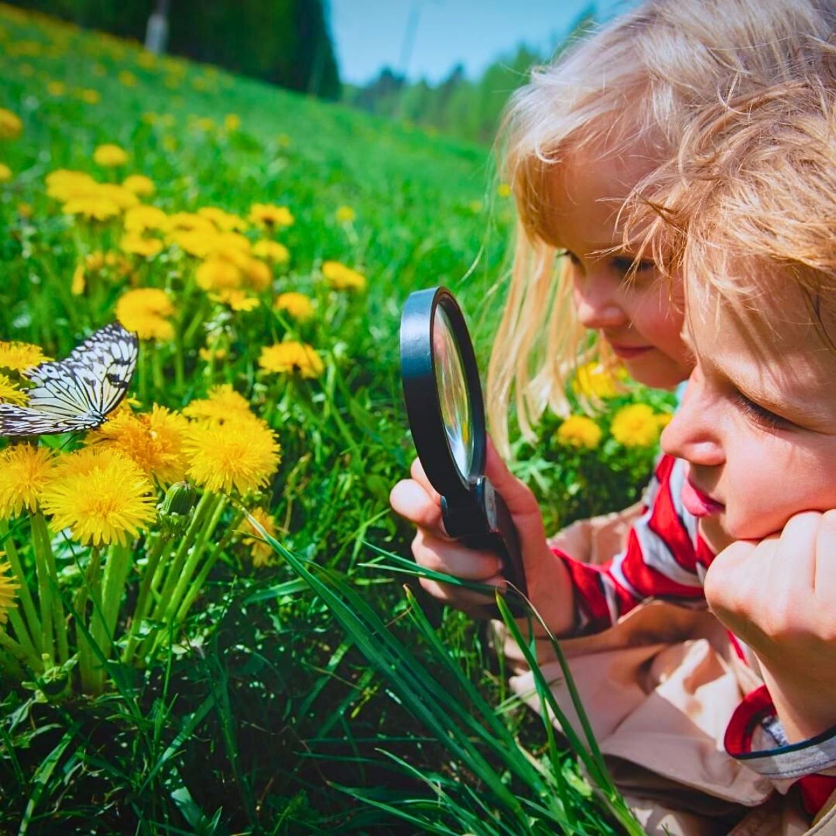 ​Why the Forest School Concept Matters