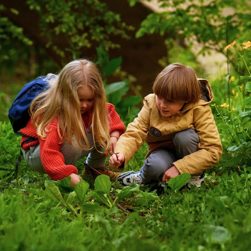 Forest Schools and Why They Matter So Much