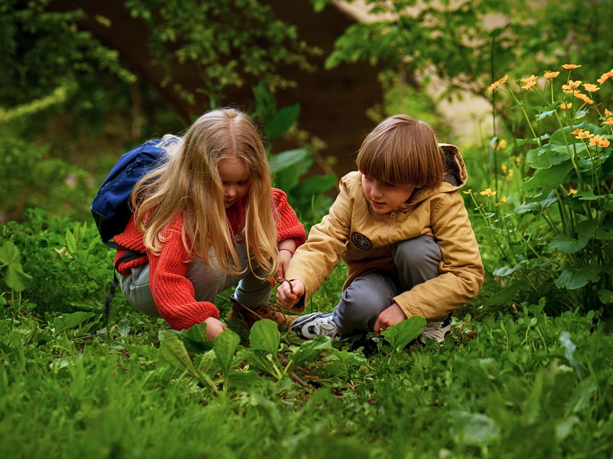 Why the Forest School Concept Matters