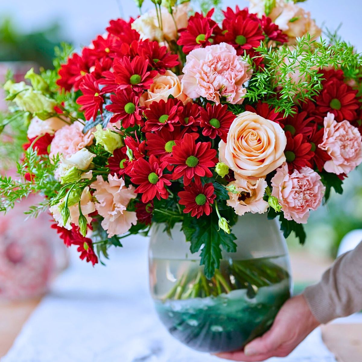 Spray Chrysanthemum Fabienne, a Colorfast Chrysanthemum From Royal Van Zanten Remains Colorful for Longer