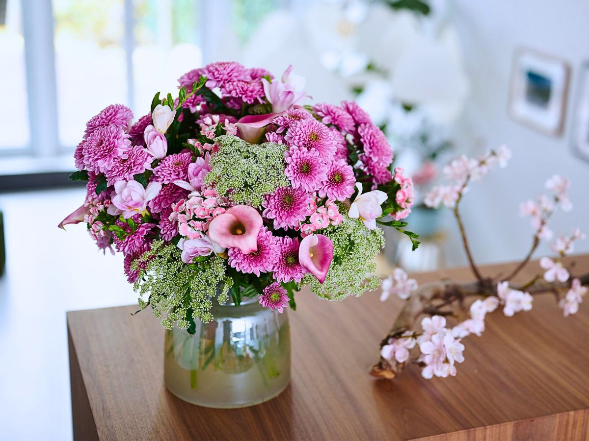 Spray Chrysanthemum Fabienne, a Colorfast Chrysanthemum From Royal Van Zanten Remains Colorful for Longer