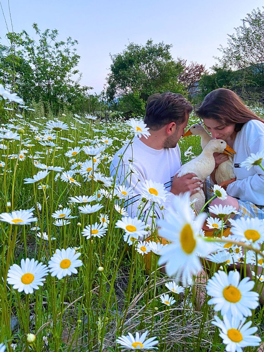 Fresh Natural Flowers and Their Emotional Connection Nuances