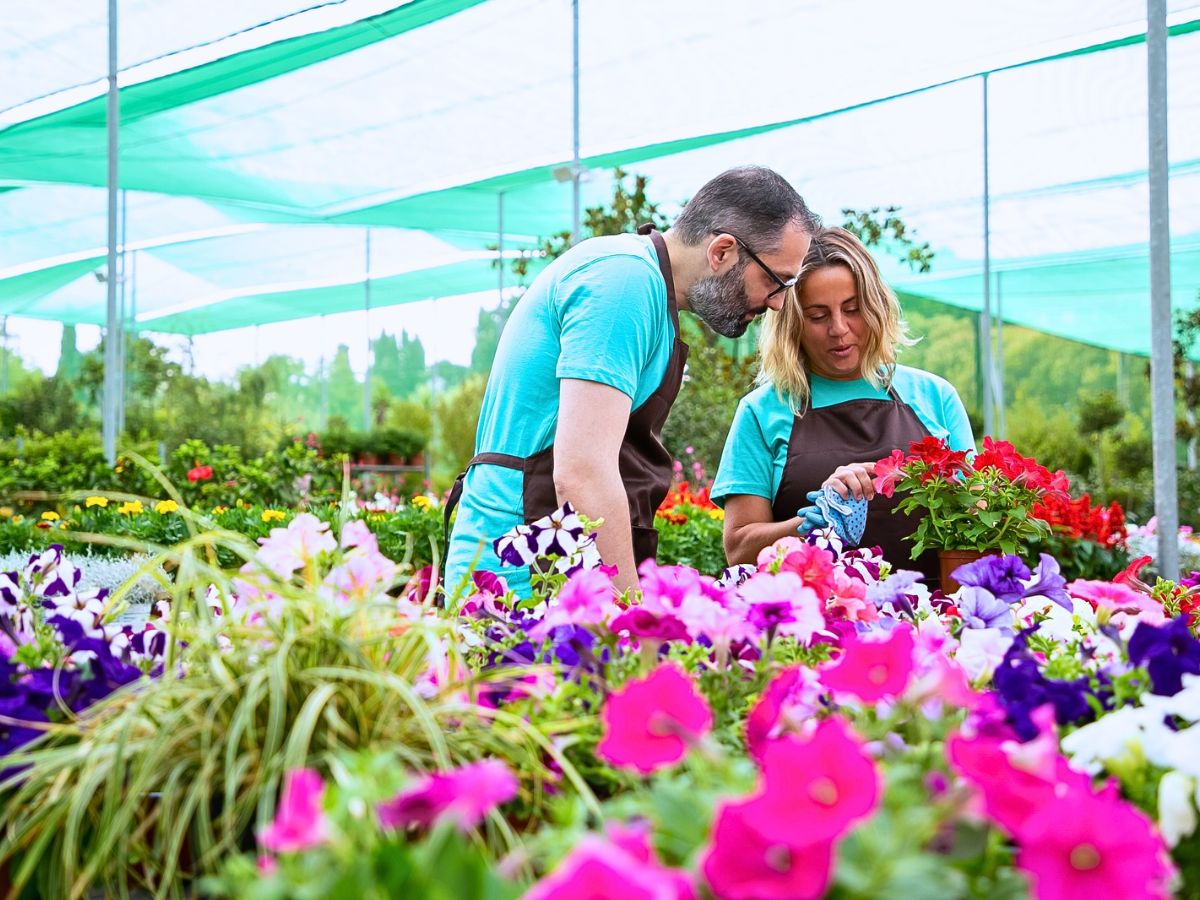 Fresh Natural Flowers and Their Emotional Connection Nuances