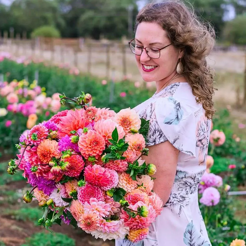 Fresh Naturally Grown Flowers and Their Emotional Connection Nuances