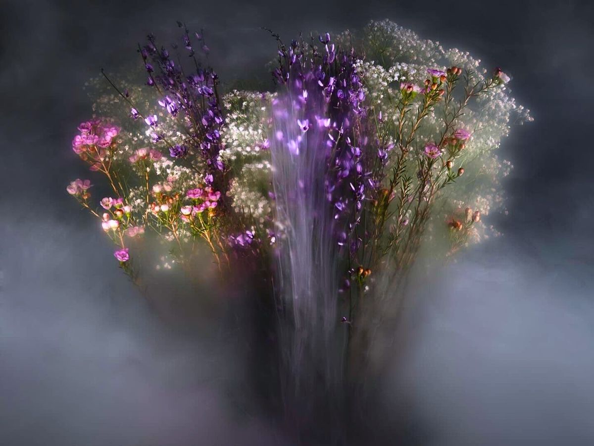 Robert Peek’s Mysterious Misty Photographs of Flowers Enveloped in Fog