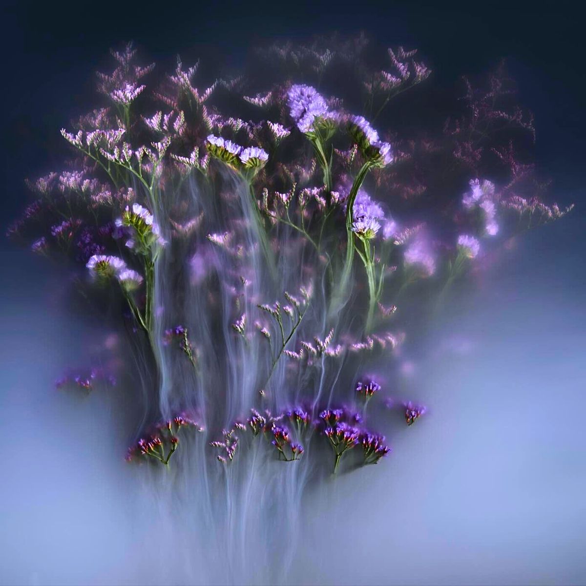 Robert Peek’s Mysterious Misty Photographs of Flowers Enveloped in Fog