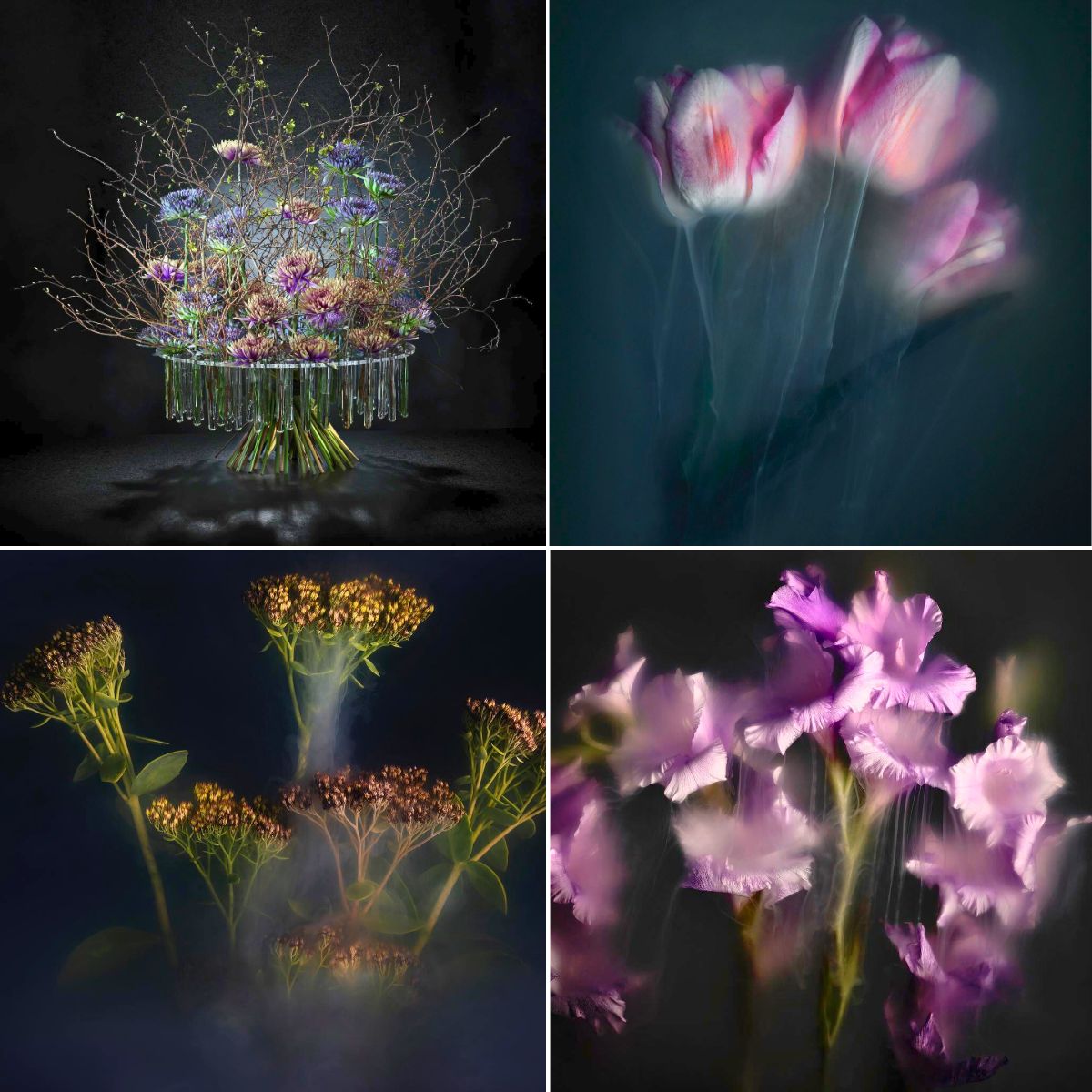 Robert Peek’s Mysterious Misty Photographs of Flowers Enveloped in Fog