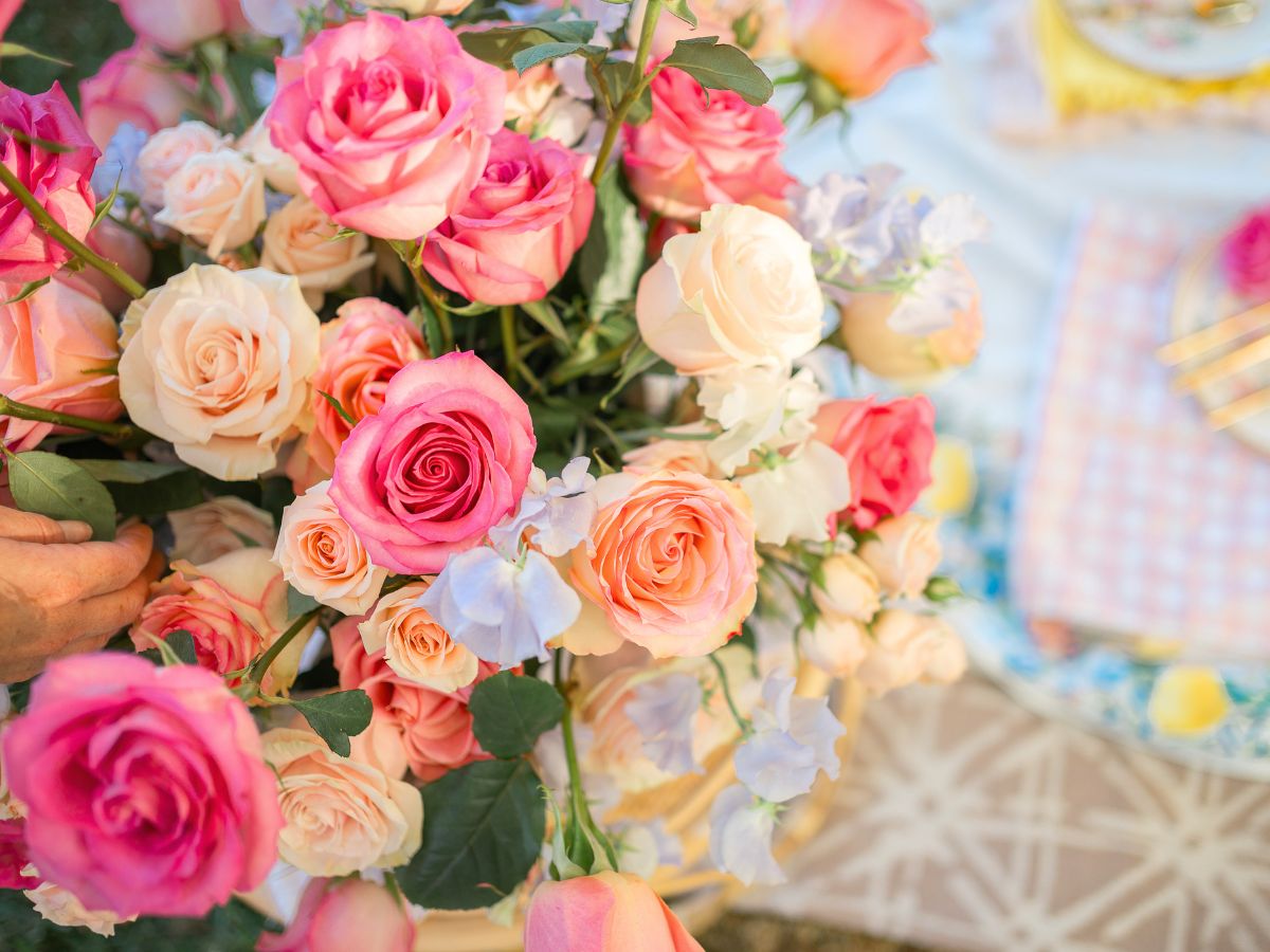 Set up of roses on a table by Rosaprima