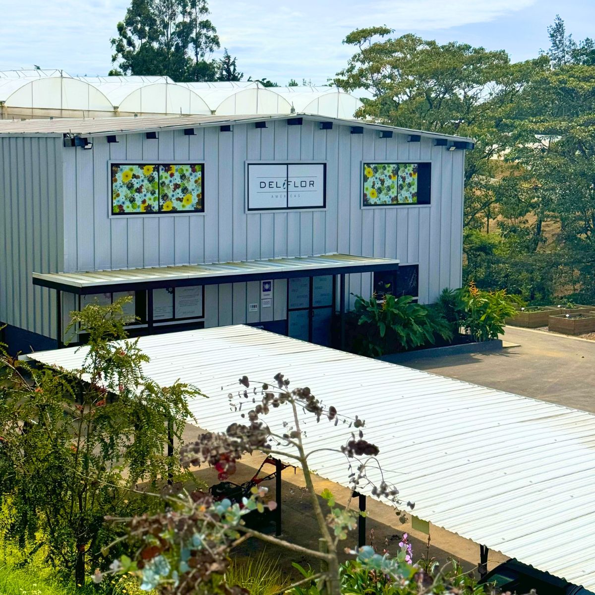 Deliflor farm at Medellin Colombia