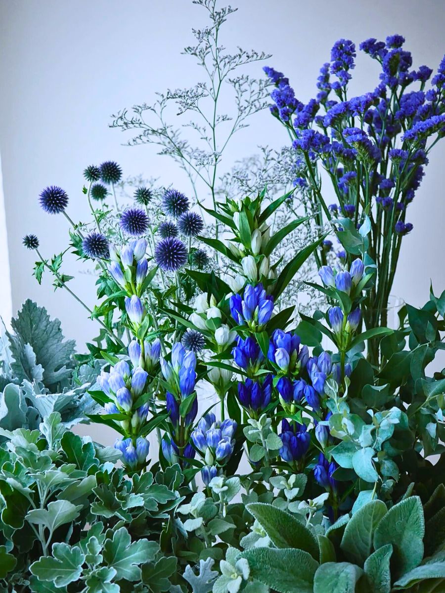 bouquets in blue blooms can signify different meanings, from expressing gratitude to loyalty and romance. 