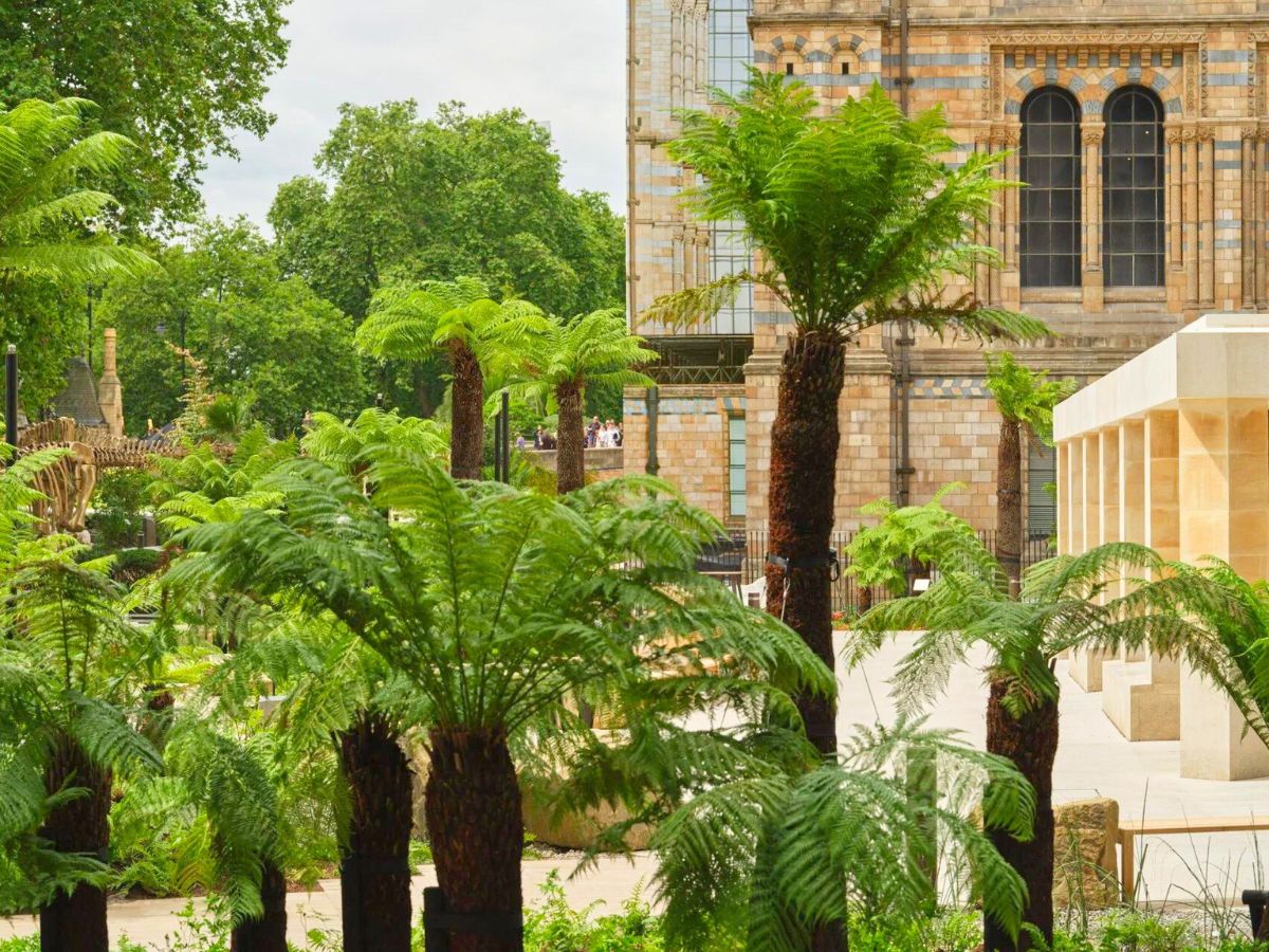 Natural History Museum full of palm trees