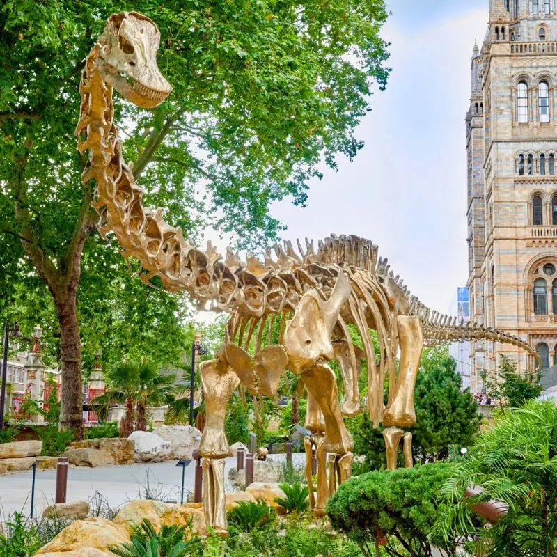 Natural History Museum Gardens