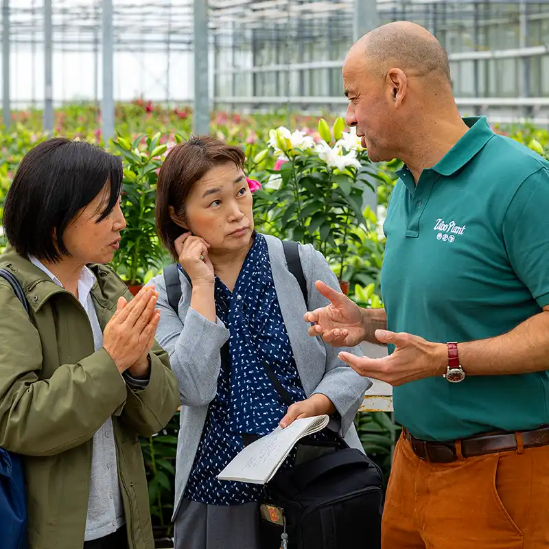 Dutch Lily Days at Zabo Plant