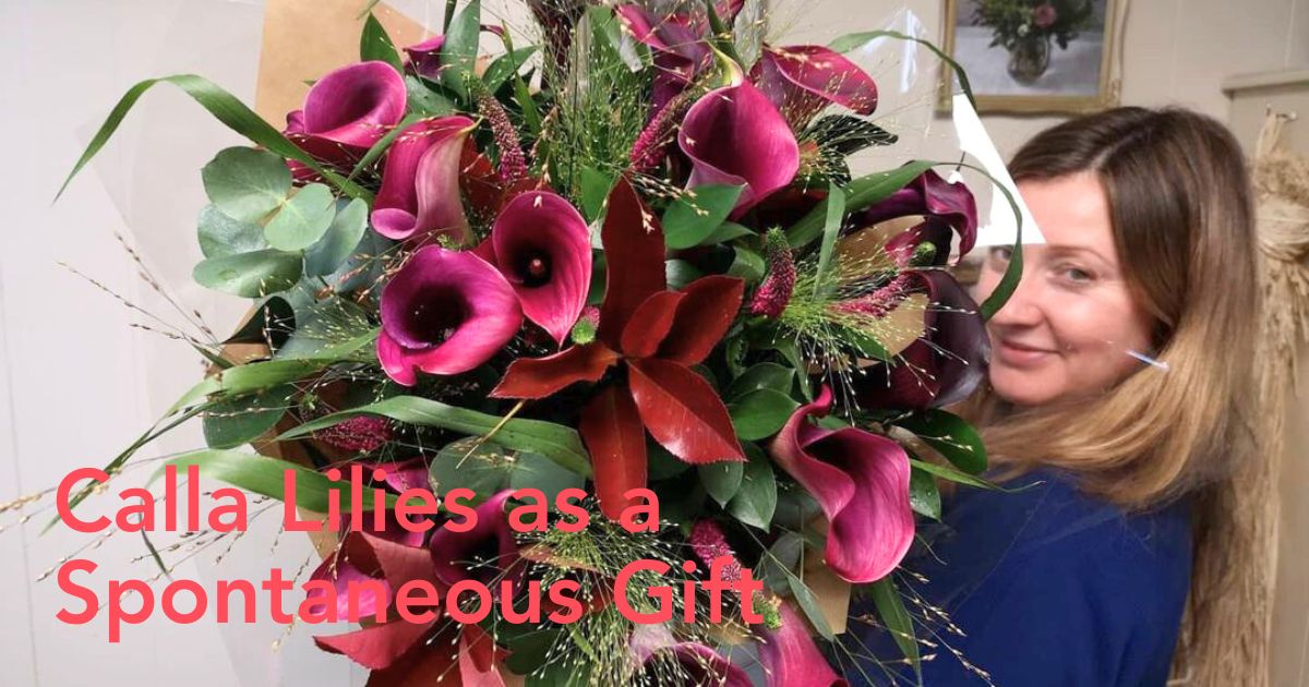 Pink arrangements of calla lilies