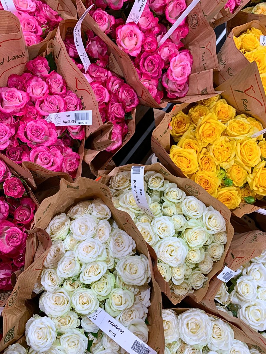 This Is How Sustainability Ensures Quality Roses From Red Lands Roses.