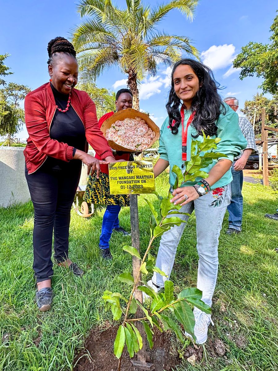 This Is How Sustainability Ensures Quality Roses From Red Lands Roses.