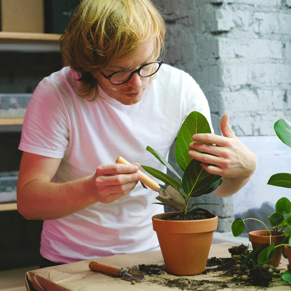 Men caring small plant