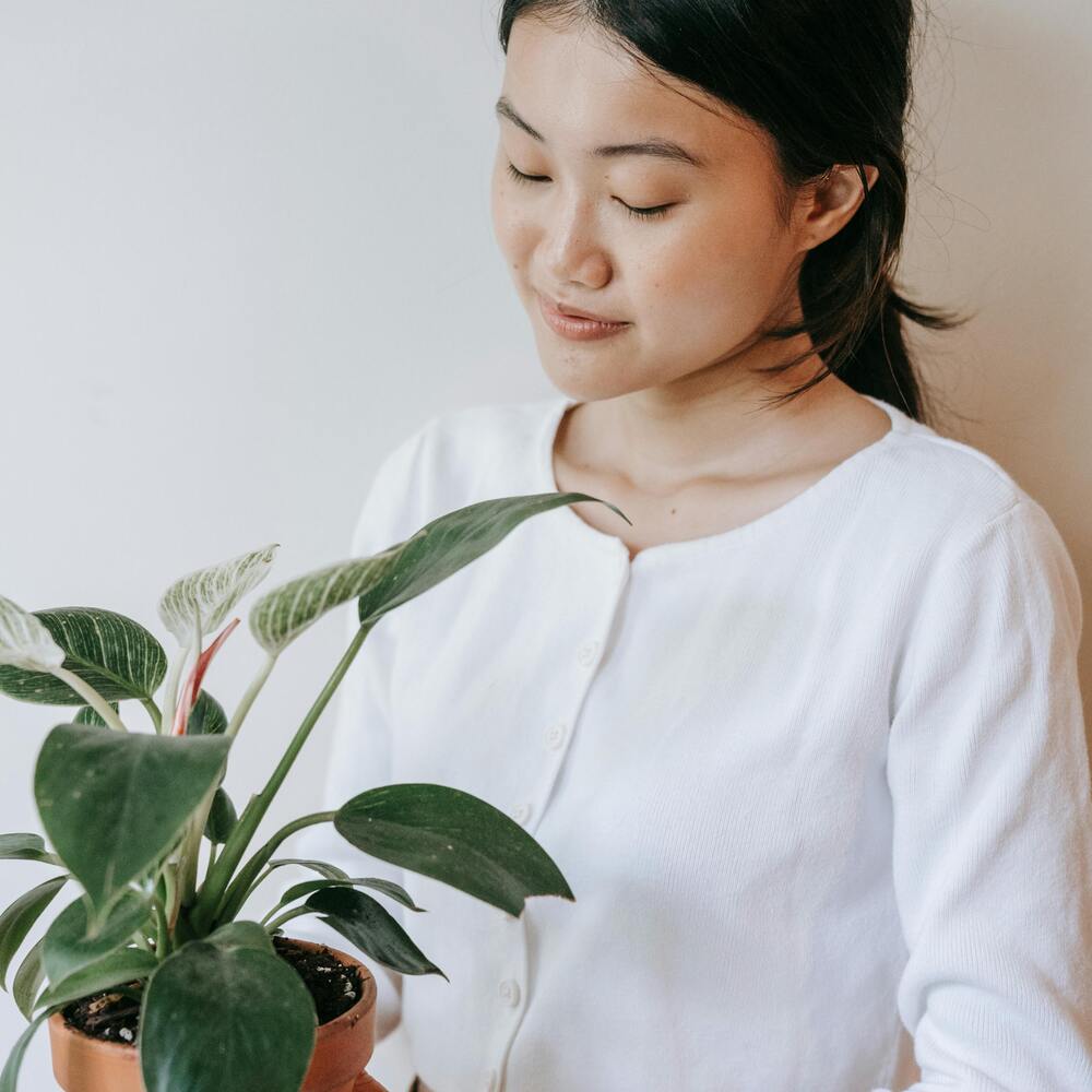 Lady planning to plant new plant