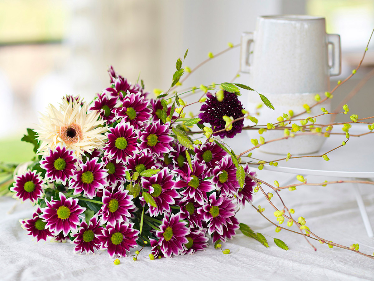 Chrysant Haydar in bouquet from Royal Van Zanten