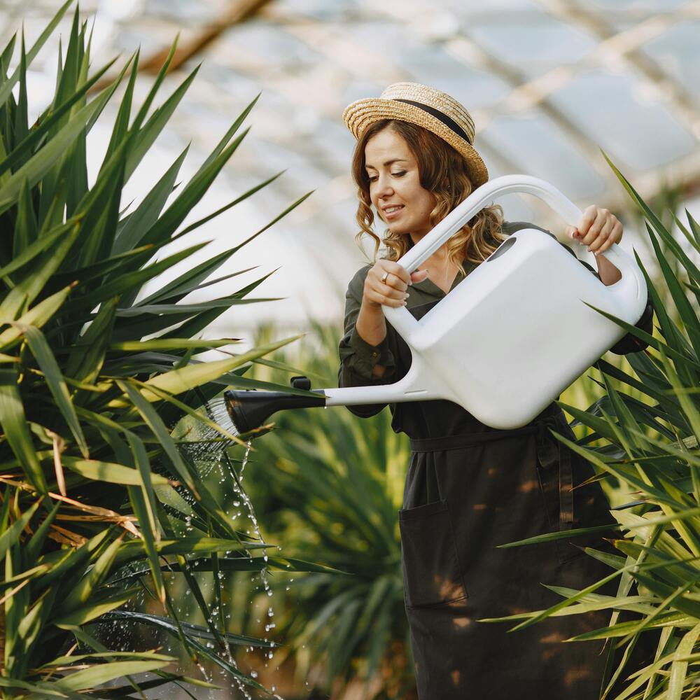 lady caring their outdoor plant 