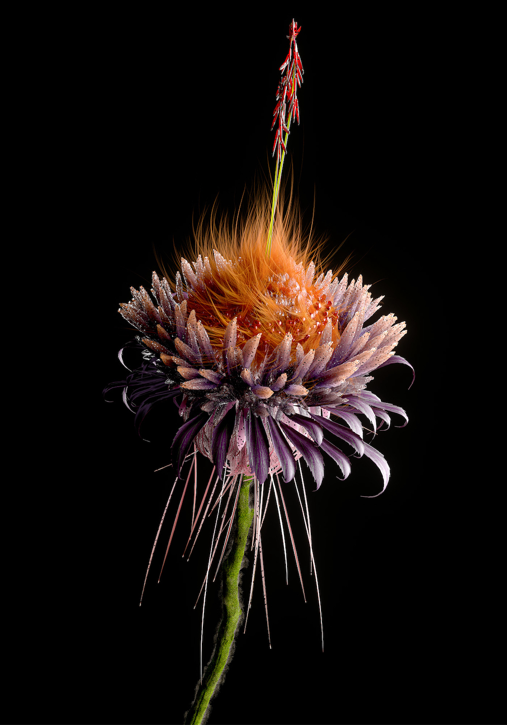 Shy Studio Recreates the Natural World Through a Series of Lifelike Botanicals Digital Flowers