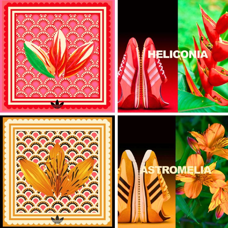 Heliconia and Alstroemeria scarf designs