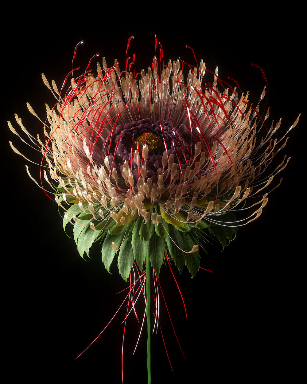 Shy Studio's Artificial Bloom - Digital Flowers Inspired by Natural...