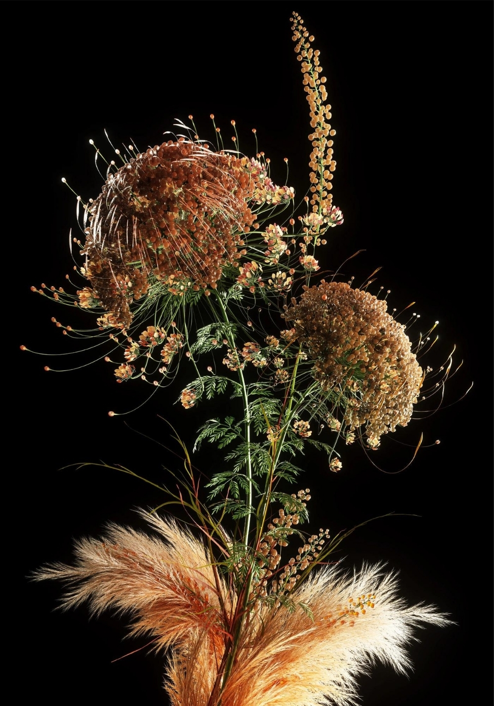 Shy Studio Recreates the Natural World Through a Series of Lifelike Botanicals Digital Art