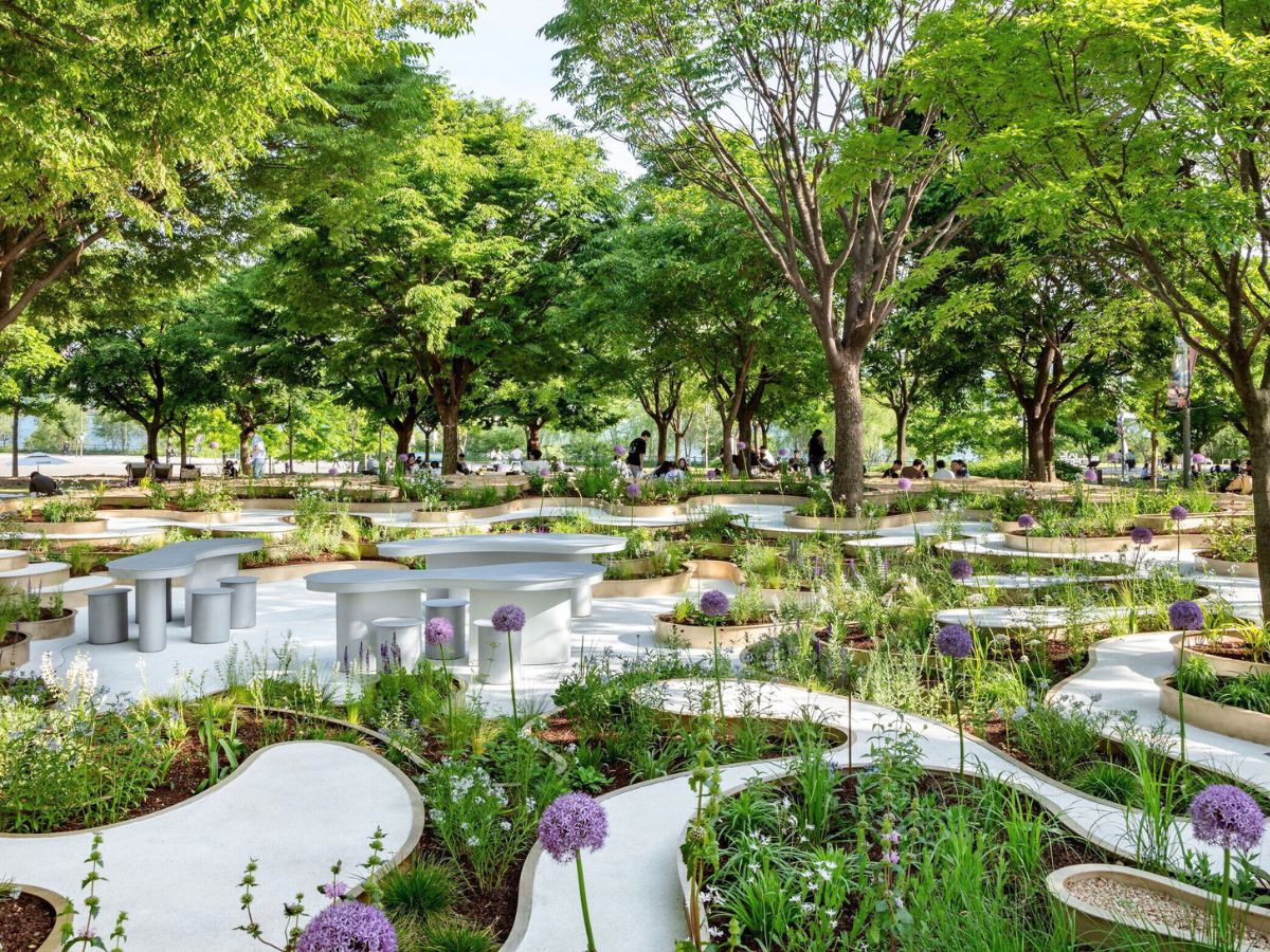 Public green open spaces to enjoy nature in Seoul