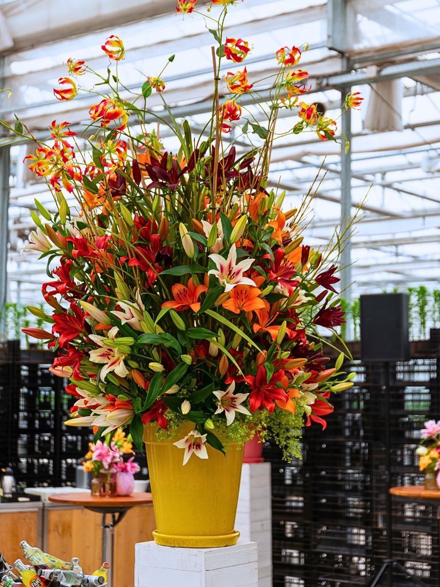 Bredefleur BFF Michael Van Namen Creates an Explosion of Floral Beauty With Bredefleur’s Lilies