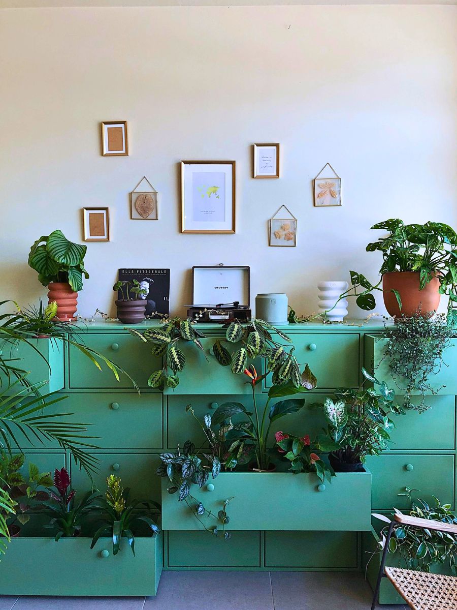 Interior Plants Are Good for You and the Planet