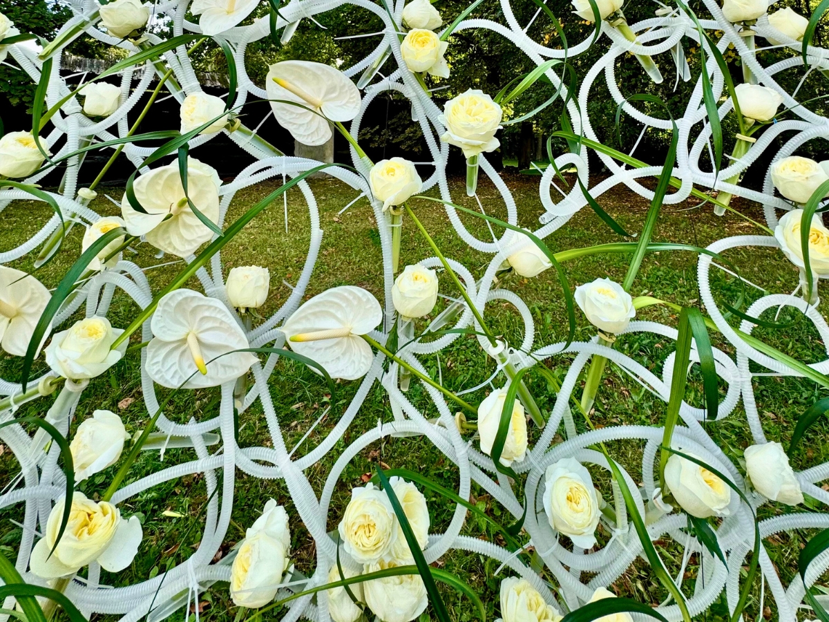 Kikwetu Flowers