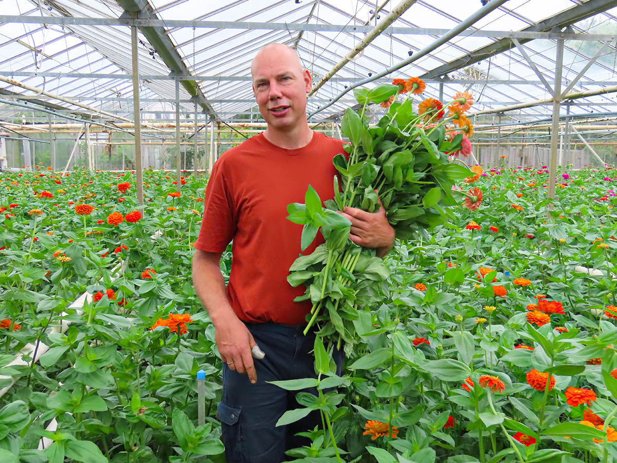 Maurits Keppel with orange Zinnias