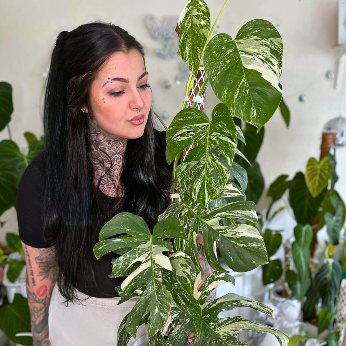 Interior Plants Are Good for You and the Planet