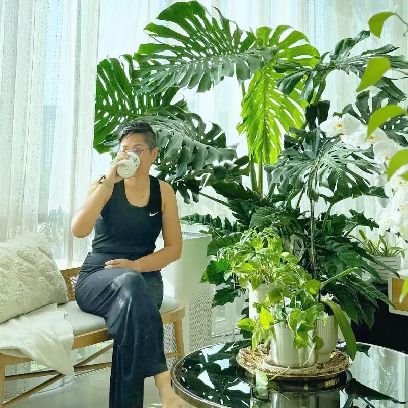 Interior Plants Are Good for You and the Planet